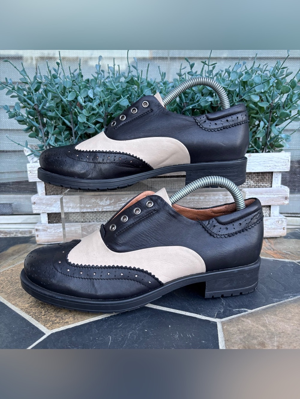 Miz Mooz Peabody Women's Oxford